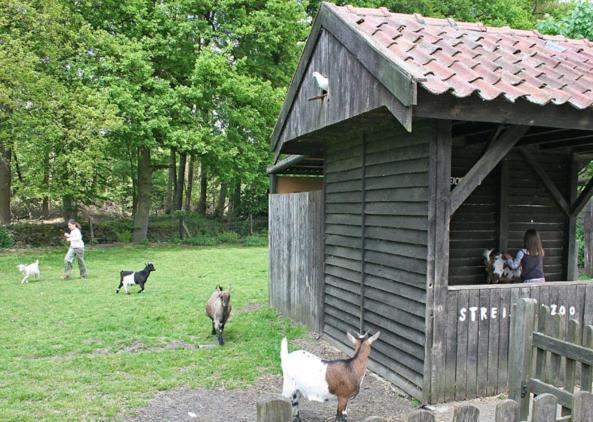 Land Gut Hotel Ritter Stadtlohn ภายนอก รูปภาพ